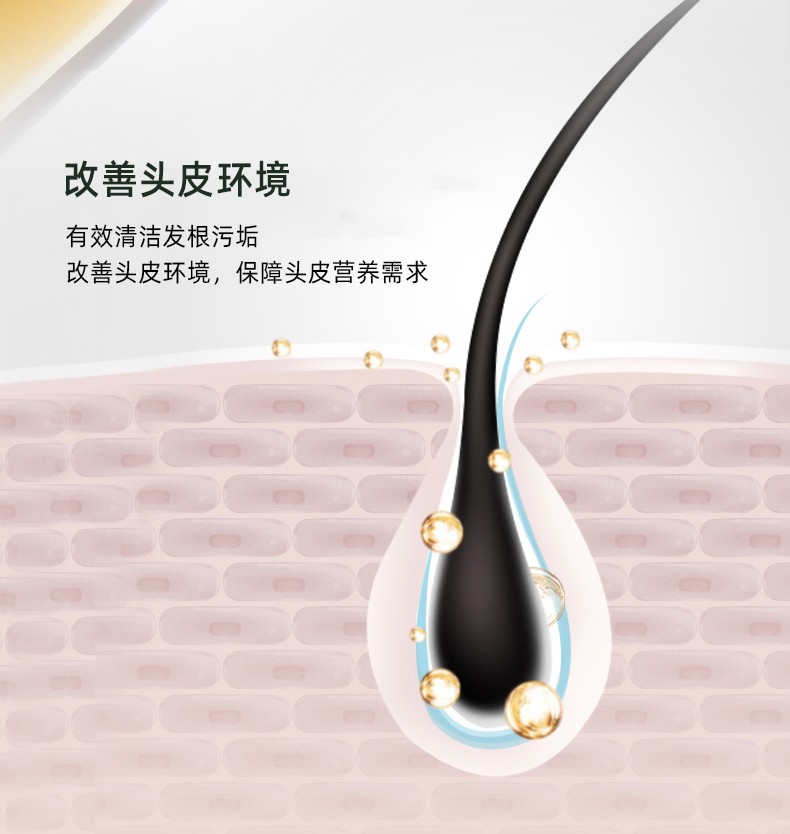 改善頭皮環(huán)境   有效清潔發(fā)根污垢   改善頭皮環(huán)境，保障頭皮營(yíng)養需求